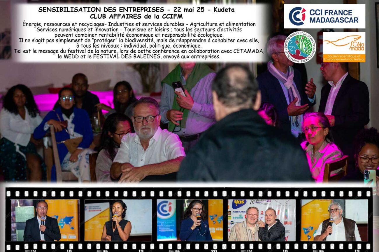 6- Sensibilisation des entreprises