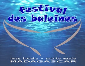 Festival des baleines